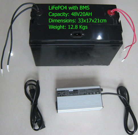 High Capacity LiFePO4 Battery Pack with BMS and Charger 